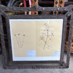 Unusual Frame, Designed using Fir Cones (1902)