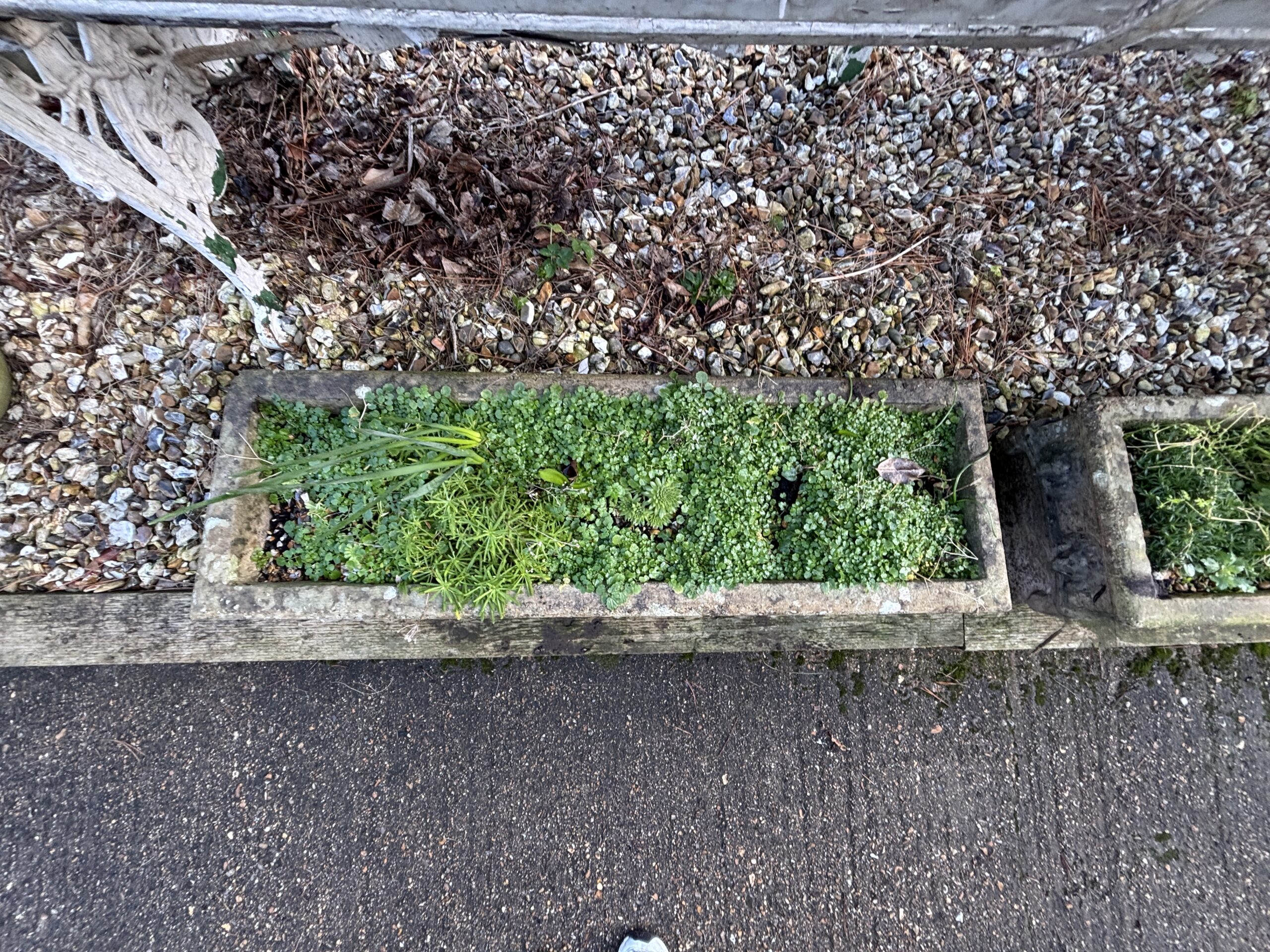 Pair of Stone Cast Troughs with Lion Heads - Image 5