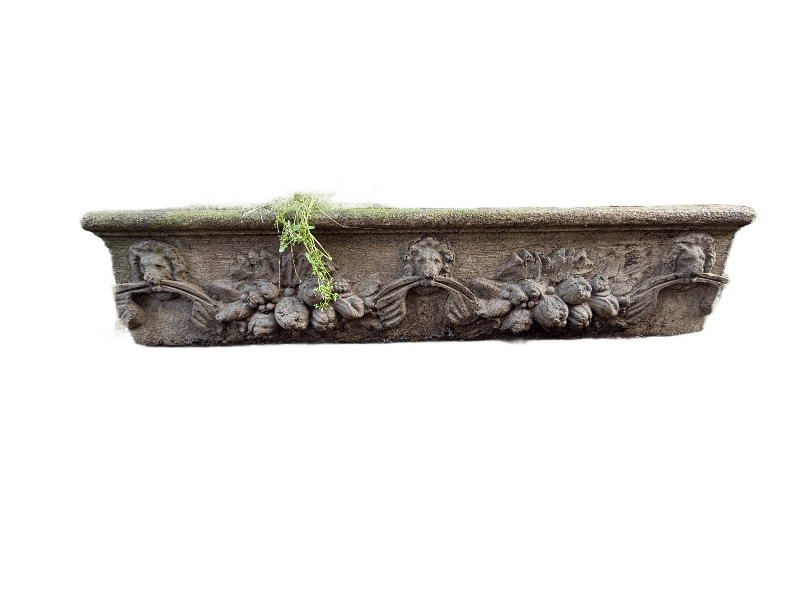 Pair of Stone Cast Troughs with Lion Heads